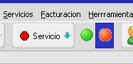 eliminar_servicio_individual.jpg