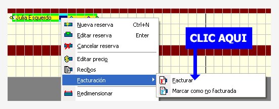 facturacion_individual_popup.jpg